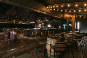 Hellcity Brewery Nuit ©CLACK-David Gallard-Pauline Moussier-129