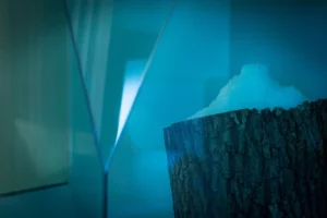 Projet Sozo Hôtel Agence Pauline Moussier 5