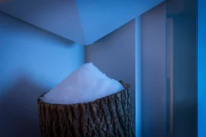 Projet Sozo Hôtel Agence Pauline Moussier 9